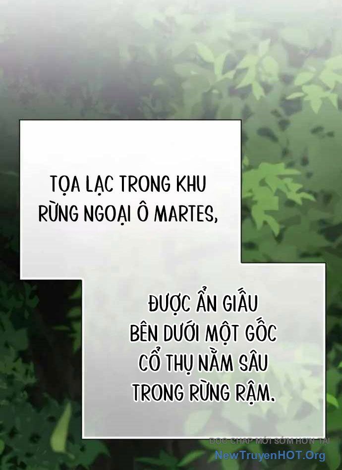 Pháp Sư Thiên Tài Phá Vỡ Giới Hạn Chapter 17 - Trang 2