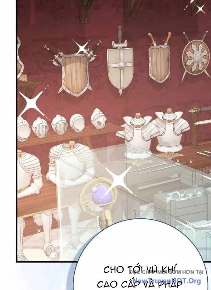 Pháp Sư Thiên Tài Phá Vỡ Giới Hạn Chapter 17 - Trang 2