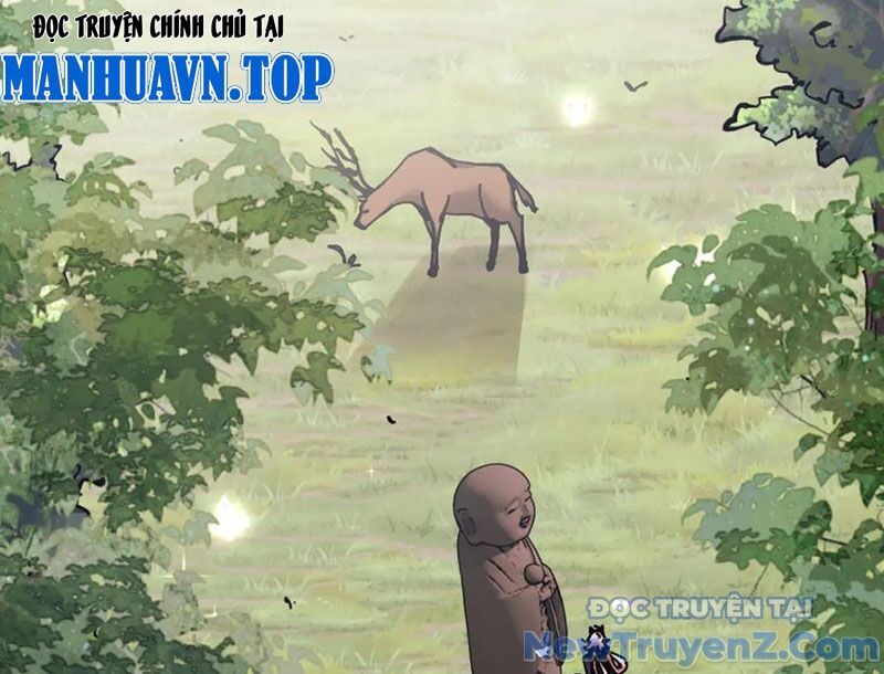 Sư Tôn: Nghịch Đồ Này Mới Không Phải Là Thánh Tử Chapter 133 - Trang 2