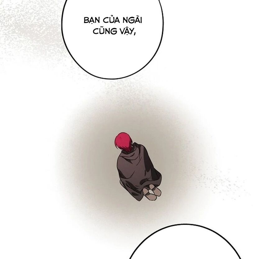 Bị Che Khuất Bởi Mặt Trời Lặn Chapter 196 - Trang 2