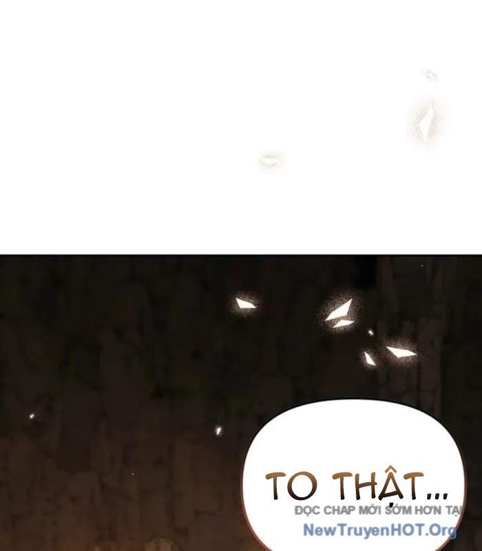 Thuần Thú Sư Thiên Tài Chapter 45 - Trang 2