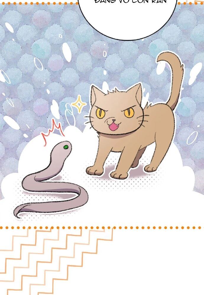 Tôi Không Muốn Chết Lần Nữa! Chapter 19 - Trang 2