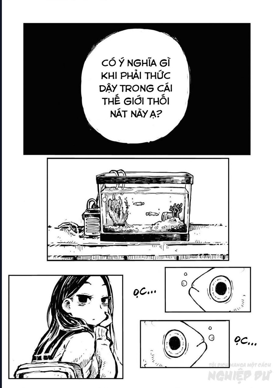 Phù Thủy Sừng Cừu Romi Chapter 11 - Trang 2