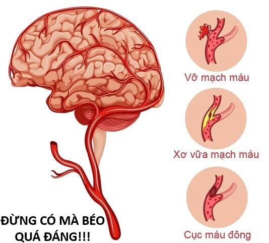 Hổ Đến Chơi Nhà (Puchimasu Miếu) Chapter 144 - Trang 2