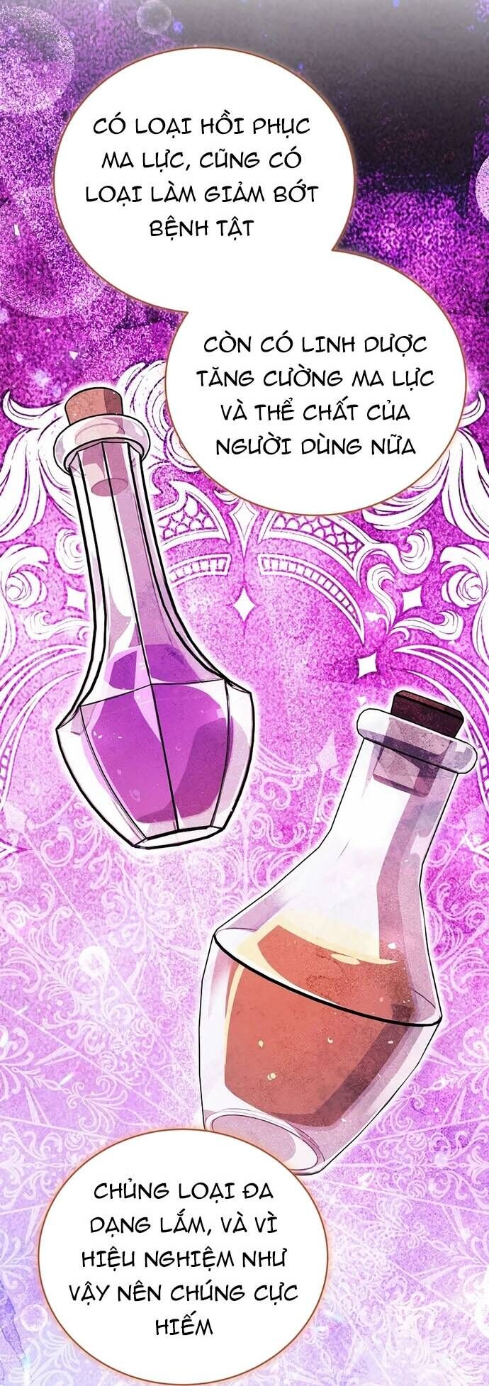 Pháp Sư Thiên Tài Thấu Triệt Khái Niệm Chapter 18 - Trang 2