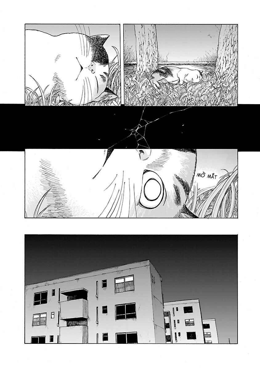 Umibe No Q Chapter 14 - Trang 2