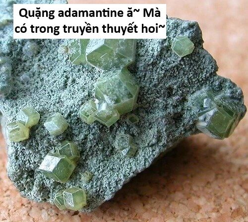 Hổ Đến Chơi Nhà (Puchimasu Miếu) Chapter 141 - Trang 2
