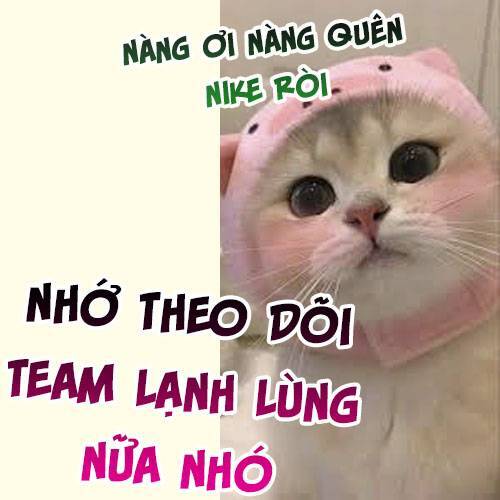 Caramal Kỳ Quái Chapter 24 - Trang 2
