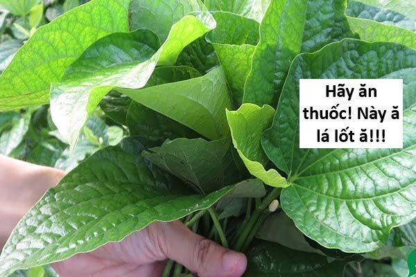 Hổ Đến Chơi Nhà (Puchimasu Miếu) Chapter 139 - Trang 2