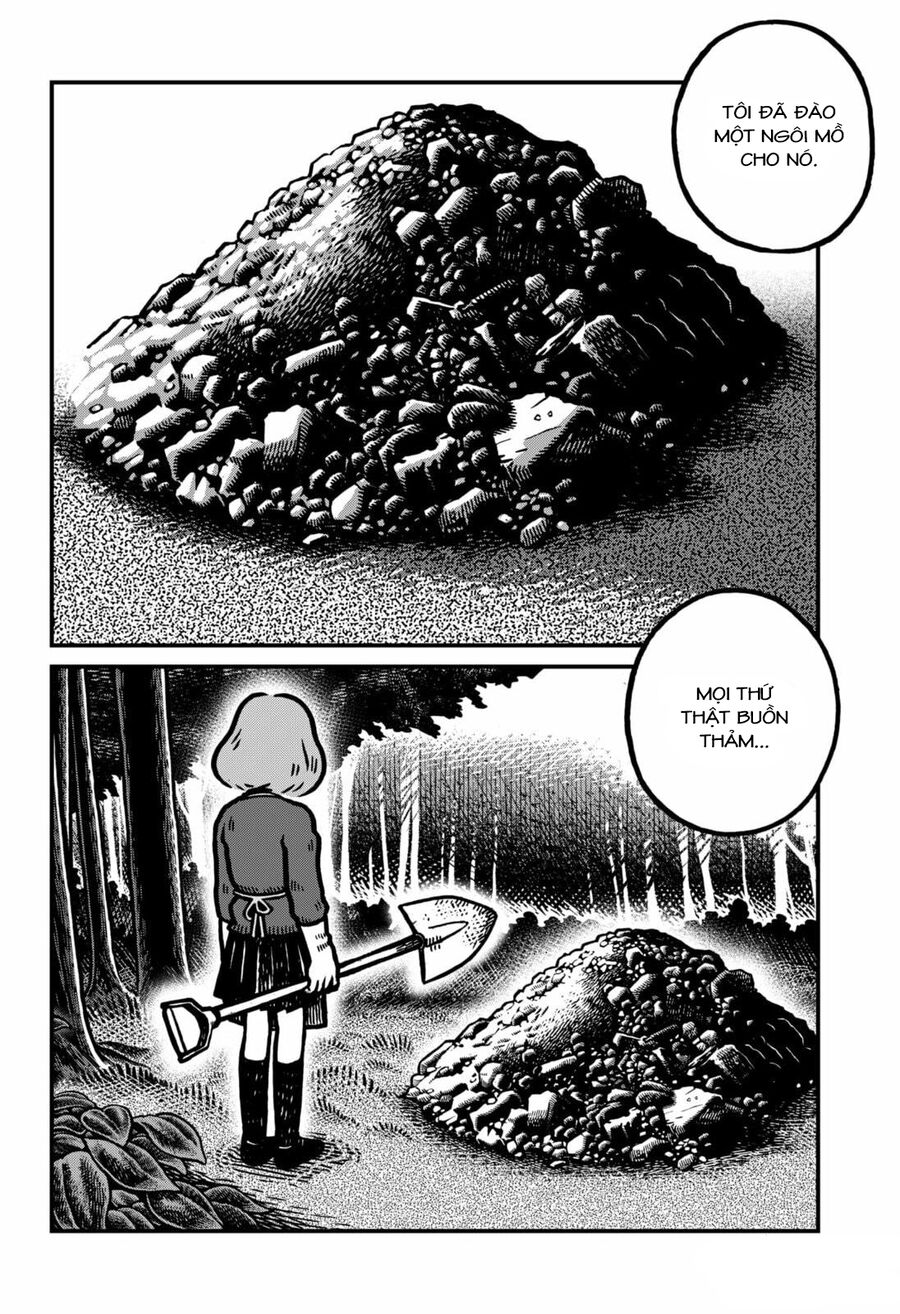 The Creepy And Freaky Chapter 1 - Trang 2
