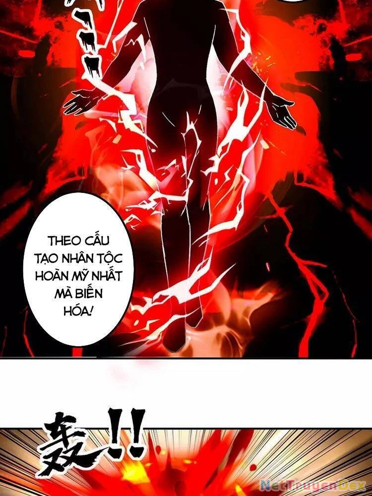 Võ Đạo Độc Tôn Chapter 296 - Next Chapter 297