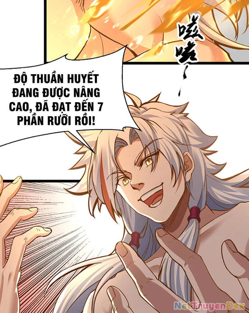 Võ Đạo Độc Tôn Chapter 415 - Next Chapter 416