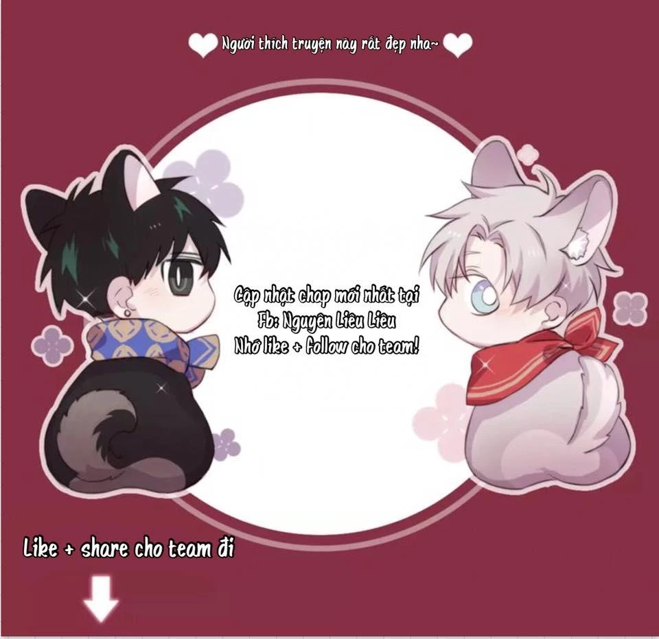 Tuyệt Sắc Quyến Rũ: Quỷ Y Chí Tôn Chapter 3 - Trang 4