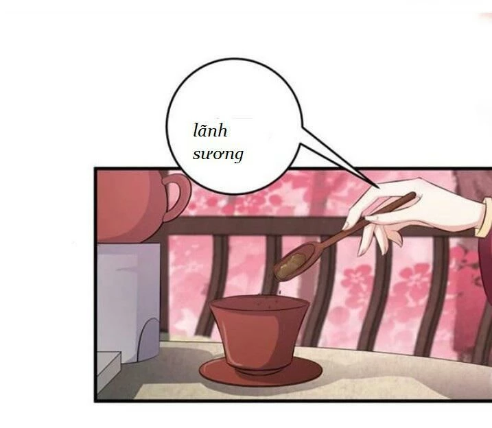 Tuyệt Sắc Quyến Rũ: Quỷ Y Chí Tôn Chapter 43 - Trang 4