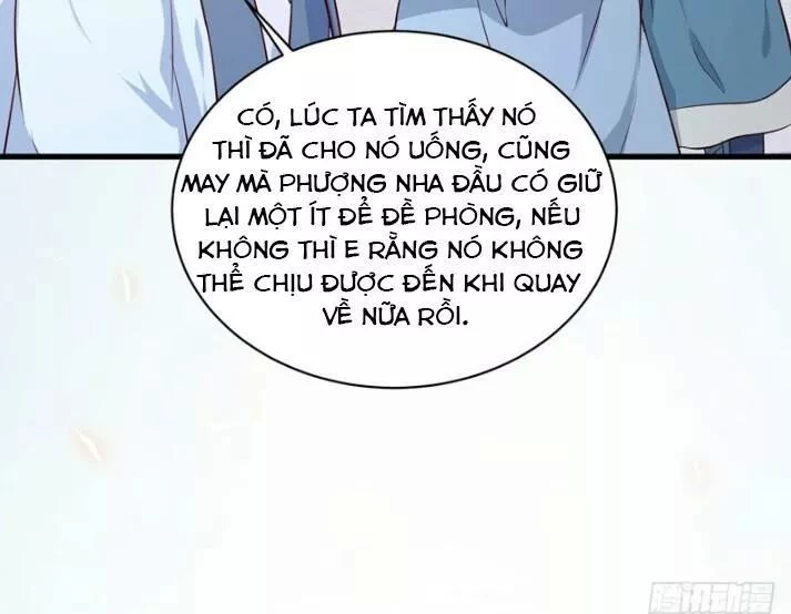 Tuyệt Sắc Quyến Rũ: Quỷ Y Chí Tôn Chapter 157 - Trang 4