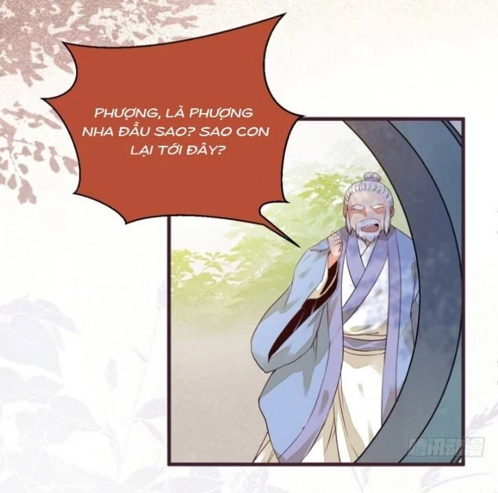 Tuyệt Sắc Quyến Rũ: Quỷ Y Chí Tôn Chapter 214 - Trang 4