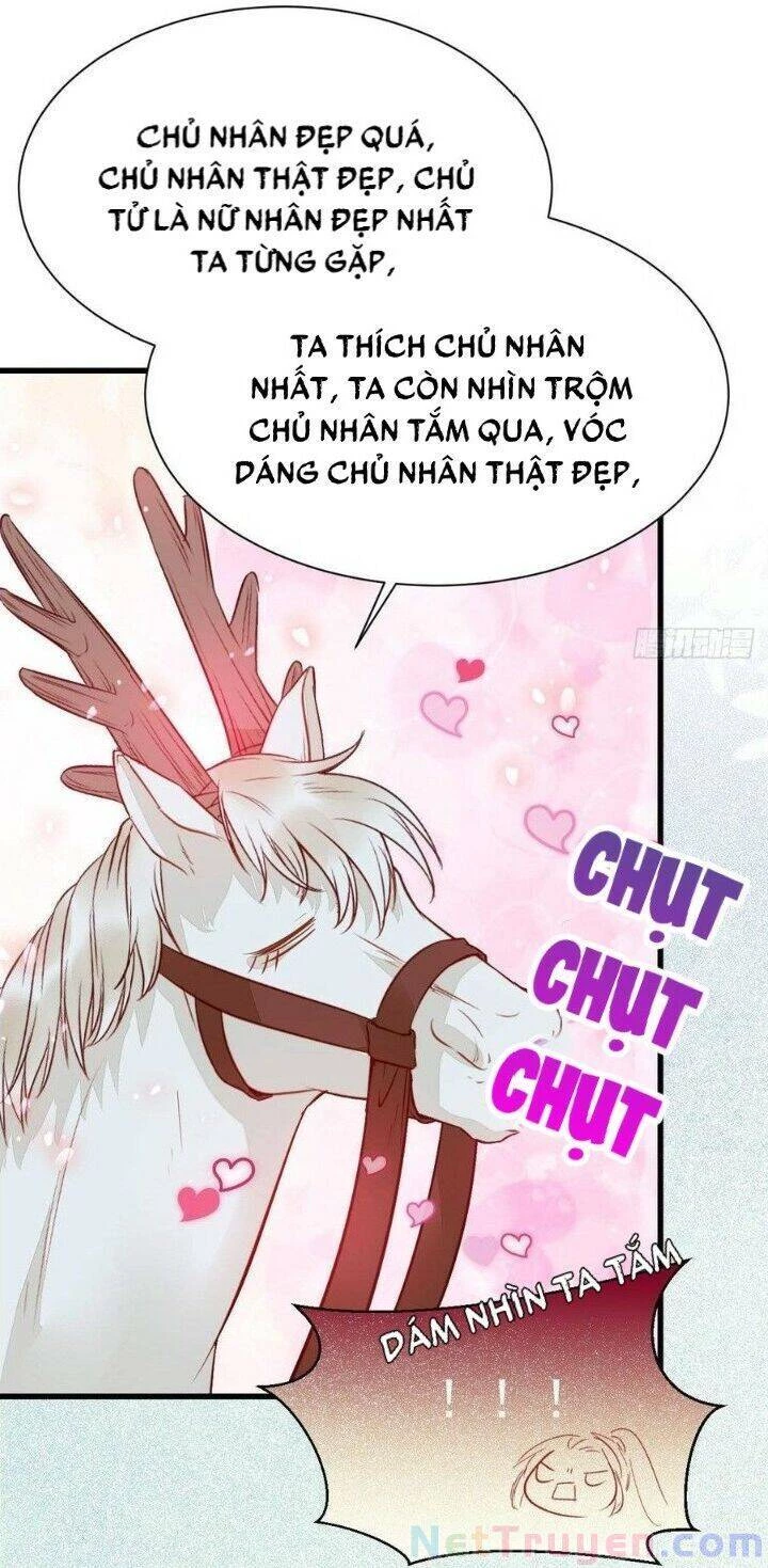 Tuyệt Sắc Quyến Rũ: Quỷ Y Chí Tôn Chapter 263 - Trang 4