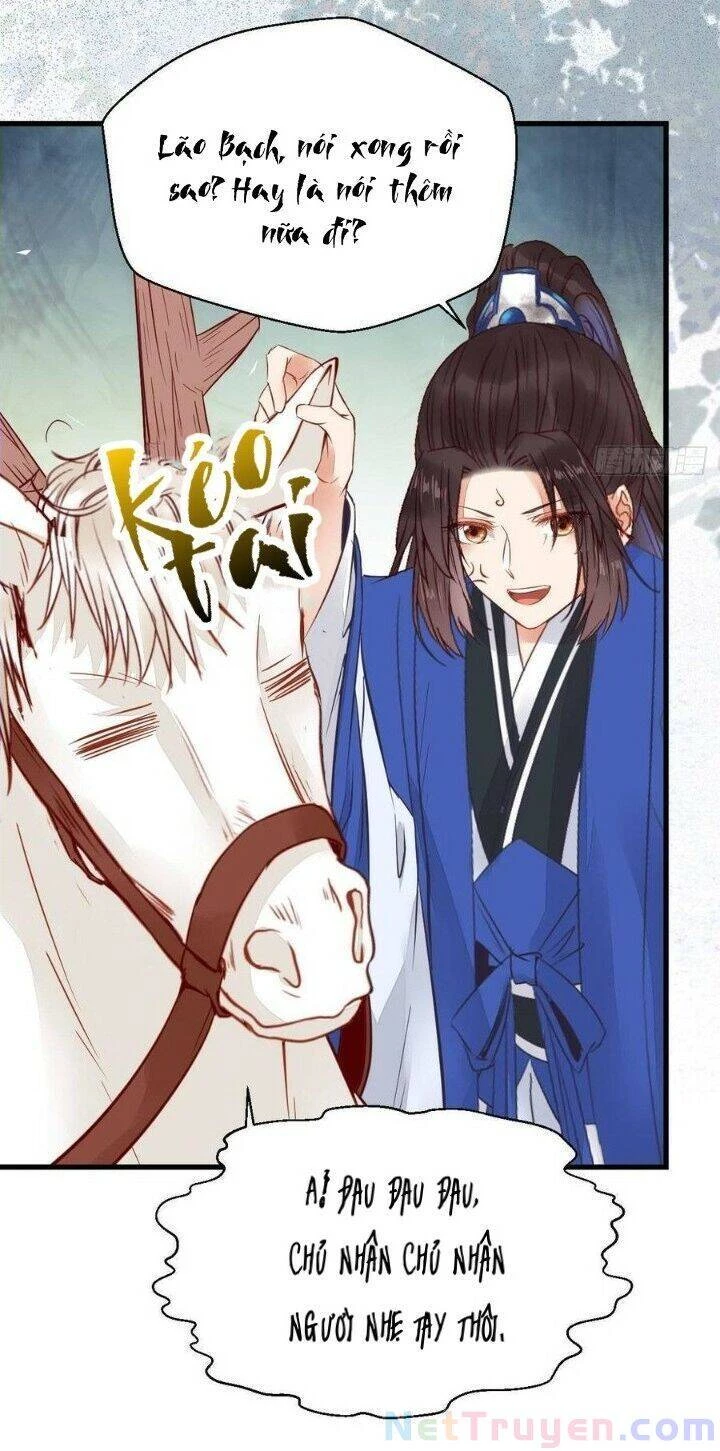 Tuyệt Sắc Quyến Rũ: Quỷ Y Chí Tôn Chapter 263 - Trang 4