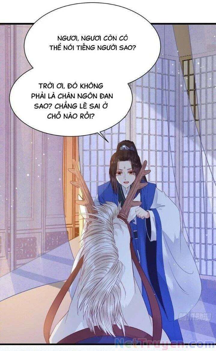 Tuyệt Sắc Quyến Rũ: Quỷ Y Chí Tôn Chapter 263 - Trang 4