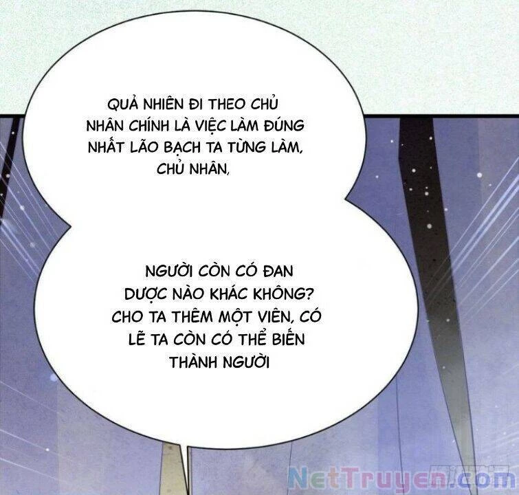 Tuyệt Sắc Quyến Rũ: Quỷ Y Chí Tôn Chapter 263 - Trang 4