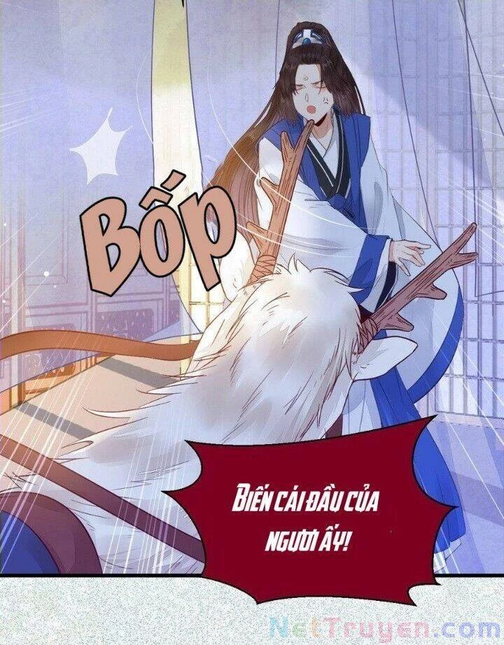 Tuyệt Sắc Quyến Rũ: Quỷ Y Chí Tôn Chapter 263 - Trang 4