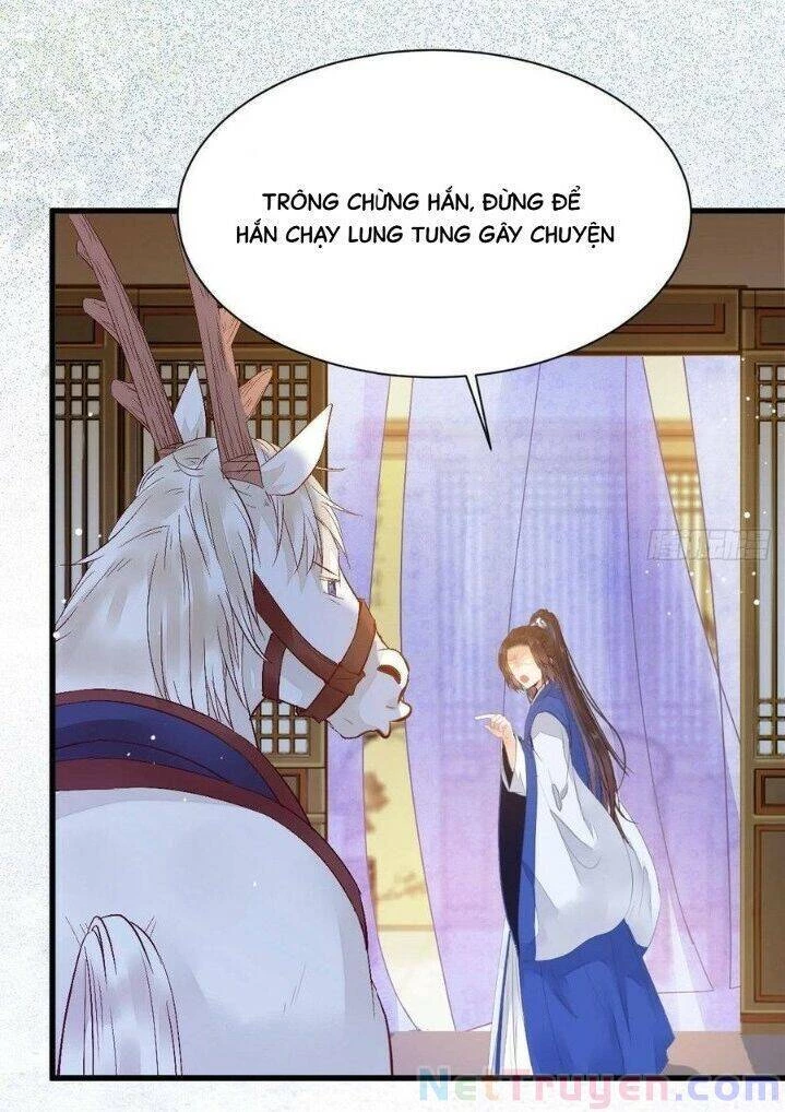 Tuyệt Sắc Quyến Rũ: Quỷ Y Chí Tôn Chapter 263 - Trang 4