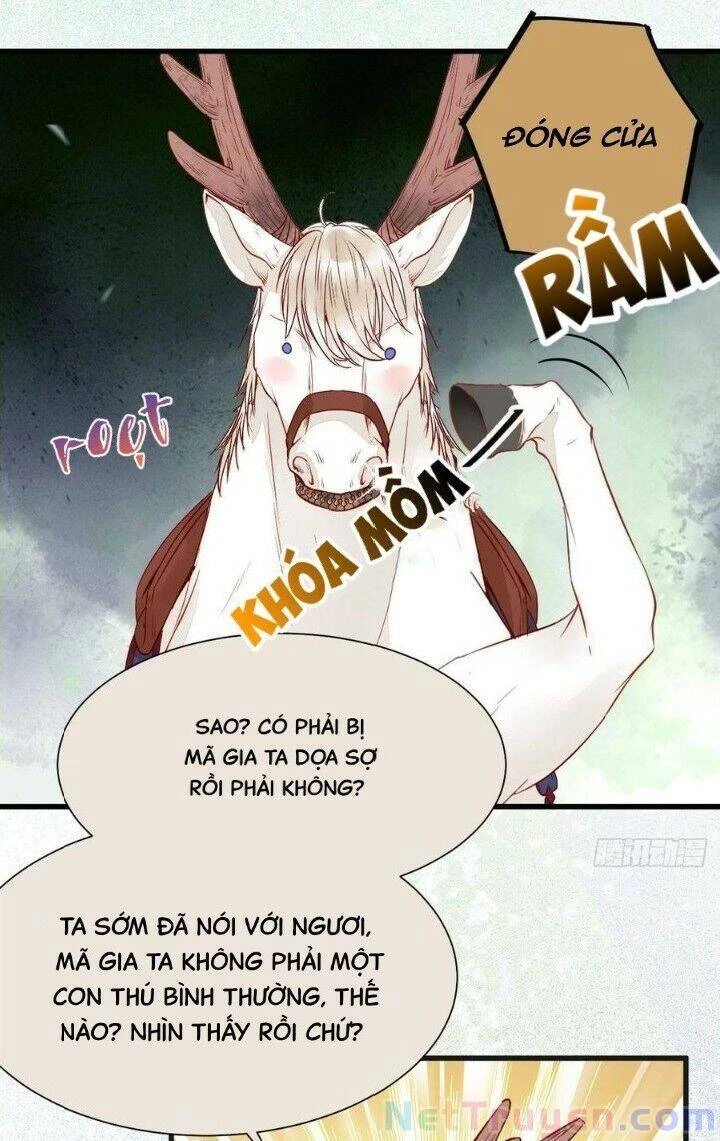 Tuyệt Sắc Quyến Rũ: Quỷ Y Chí Tôn Chapter 263 - Trang 4