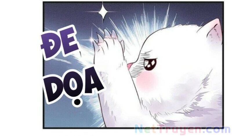 Tuyệt Sắc Quyến Rũ: Quỷ Y Chí Tôn Chapter 263 - Trang 4