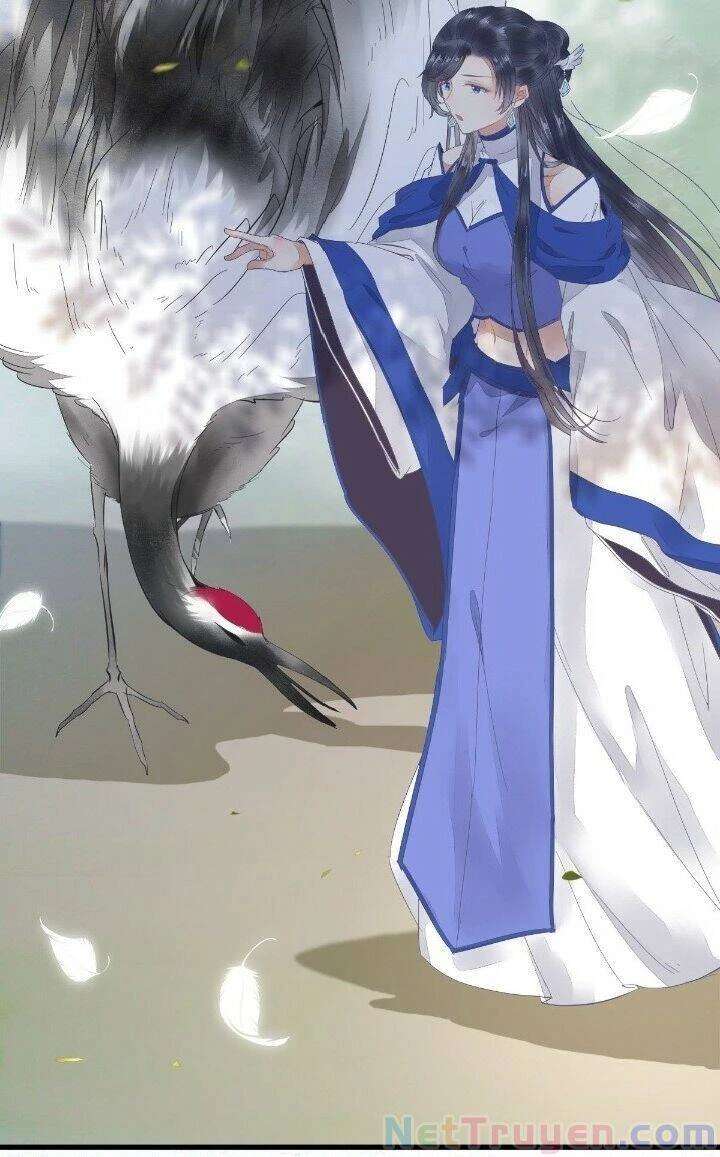 Tuyệt Sắc Quyến Rũ: Quỷ Y Chí Tôn Chapter 268 - Trang 4