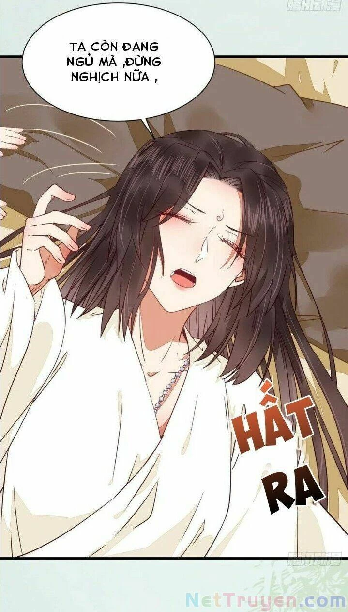 Tuyệt Sắc Quyến Rũ: Quỷ Y Chí Tôn Chapter 277 - Trang 4
