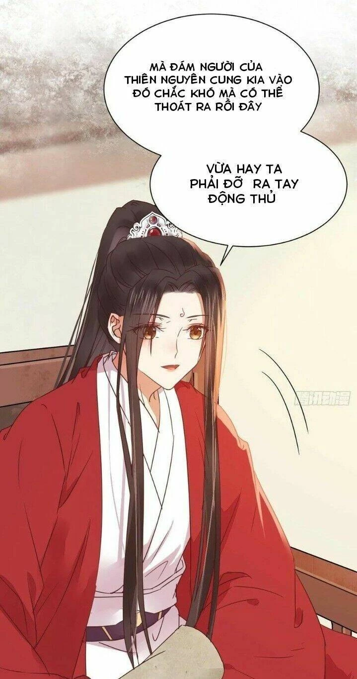 Tuyệt Sắc Quyến Rũ: Quỷ Y Chí Tôn Chapter 294 - Trang 4