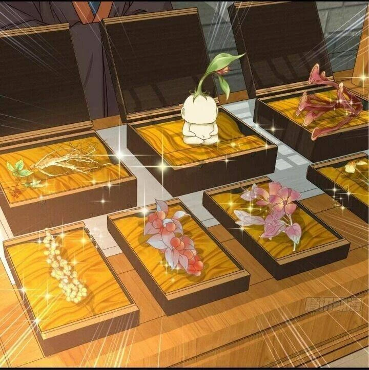 Tuyệt Sắc Quyến Rũ: Quỷ Y Chí Tôn Chapter 325 - Trang 4