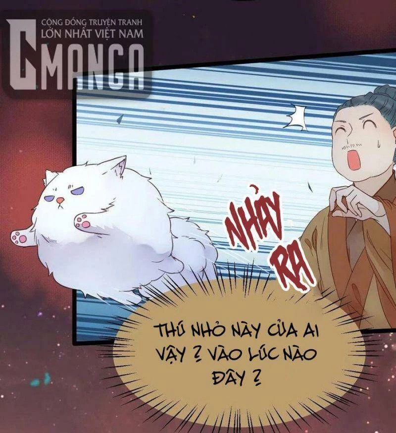 Tuyệt Sắc Quyến Rũ: Quỷ Y Chí Tôn Chapter 367 - Trang 4