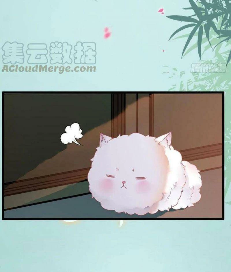 Tuyệt Sắc Quyến Rũ: Quỷ Y Chí Tôn Chapter 376 - Trang 4