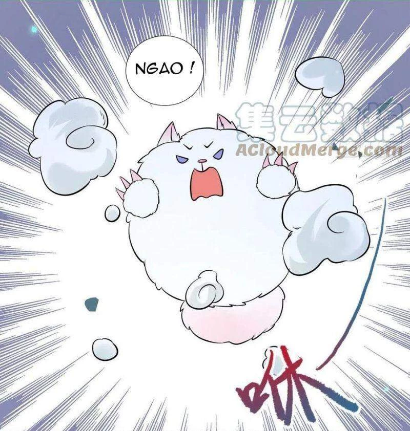 Tuyệt Sắc Quyến Rũ: Quỷ Y Chí Tôn Chapter 416 - Trang 4