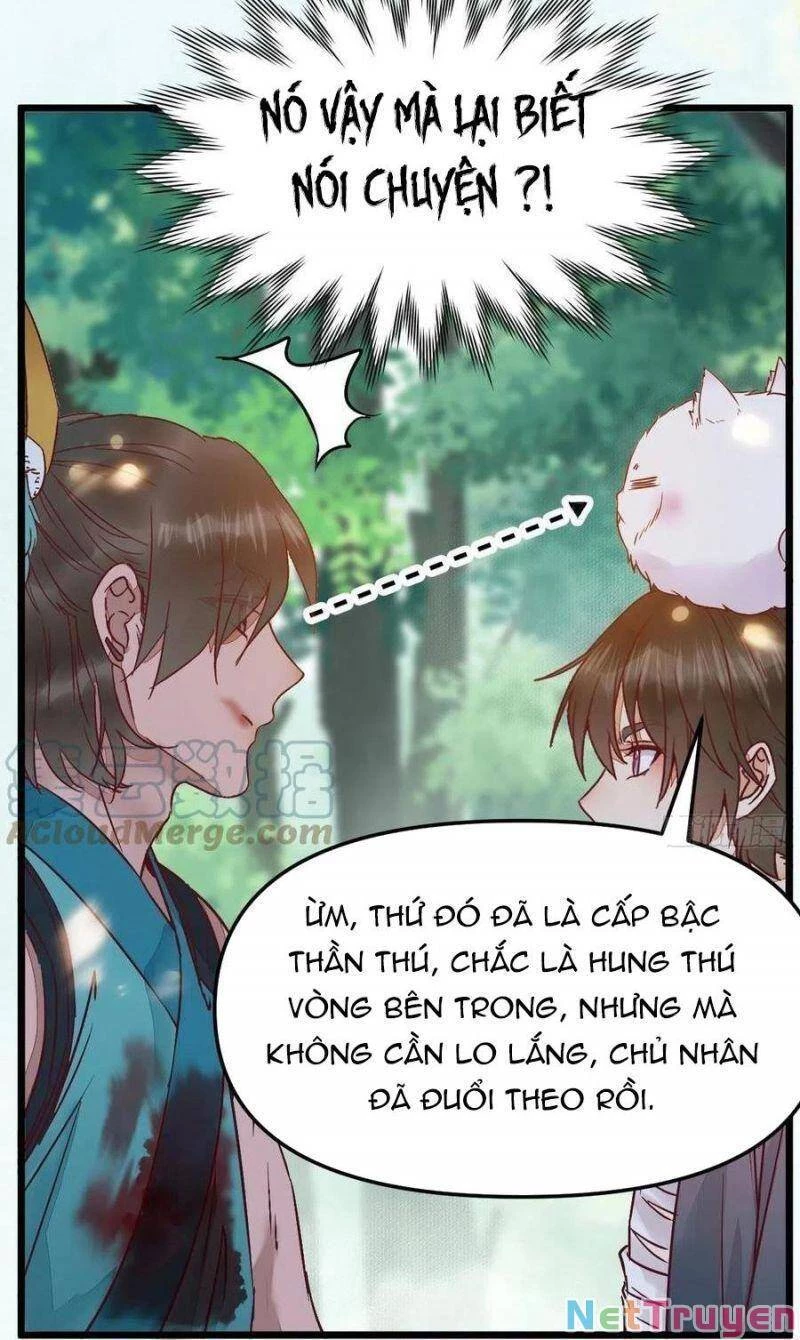 Tuyệt Sắc Quyến Rũ: Quỷ Y Chí Tôn Chapter 430 - Trang 4