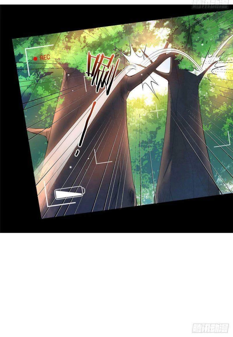 Thần Sủng Tiến Hóa Chapter 4 - Next Chapter 5