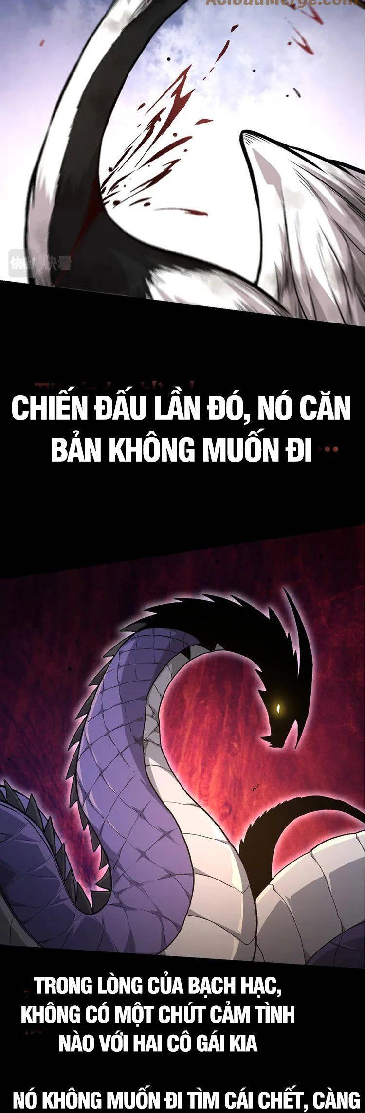 Chuyển Sinh Thành Liễu Đột Biến Chapter 54 - Next Chapter 55