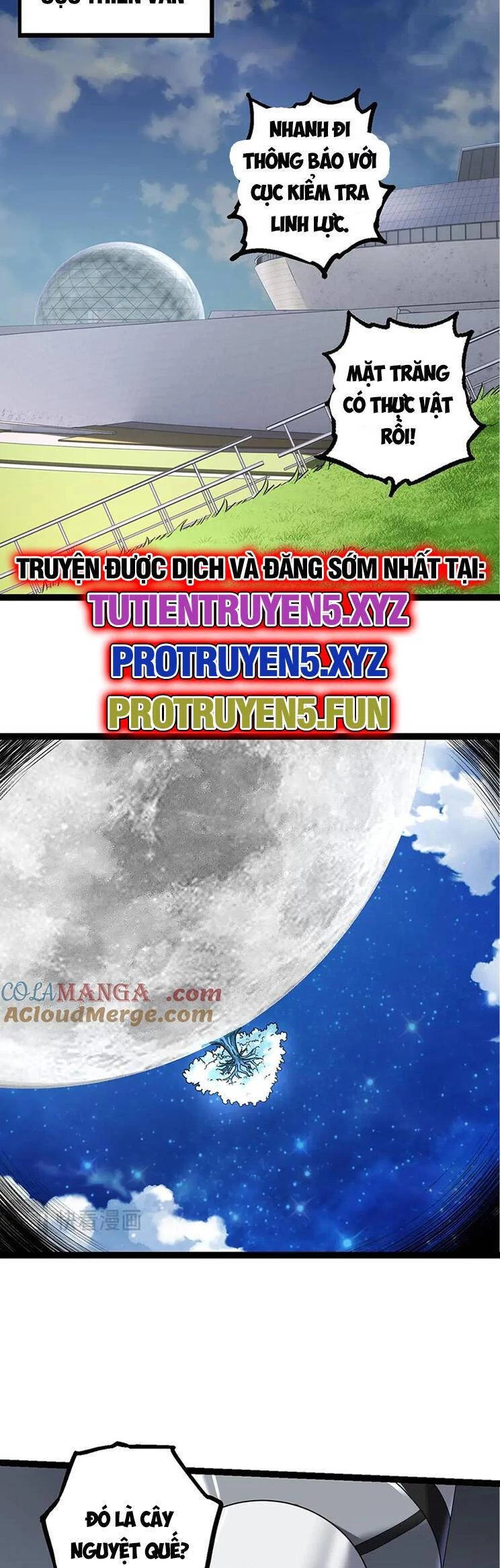 Chuyển Sinh Thành Liễu Đột Biến Chapter 203 - Trang 3