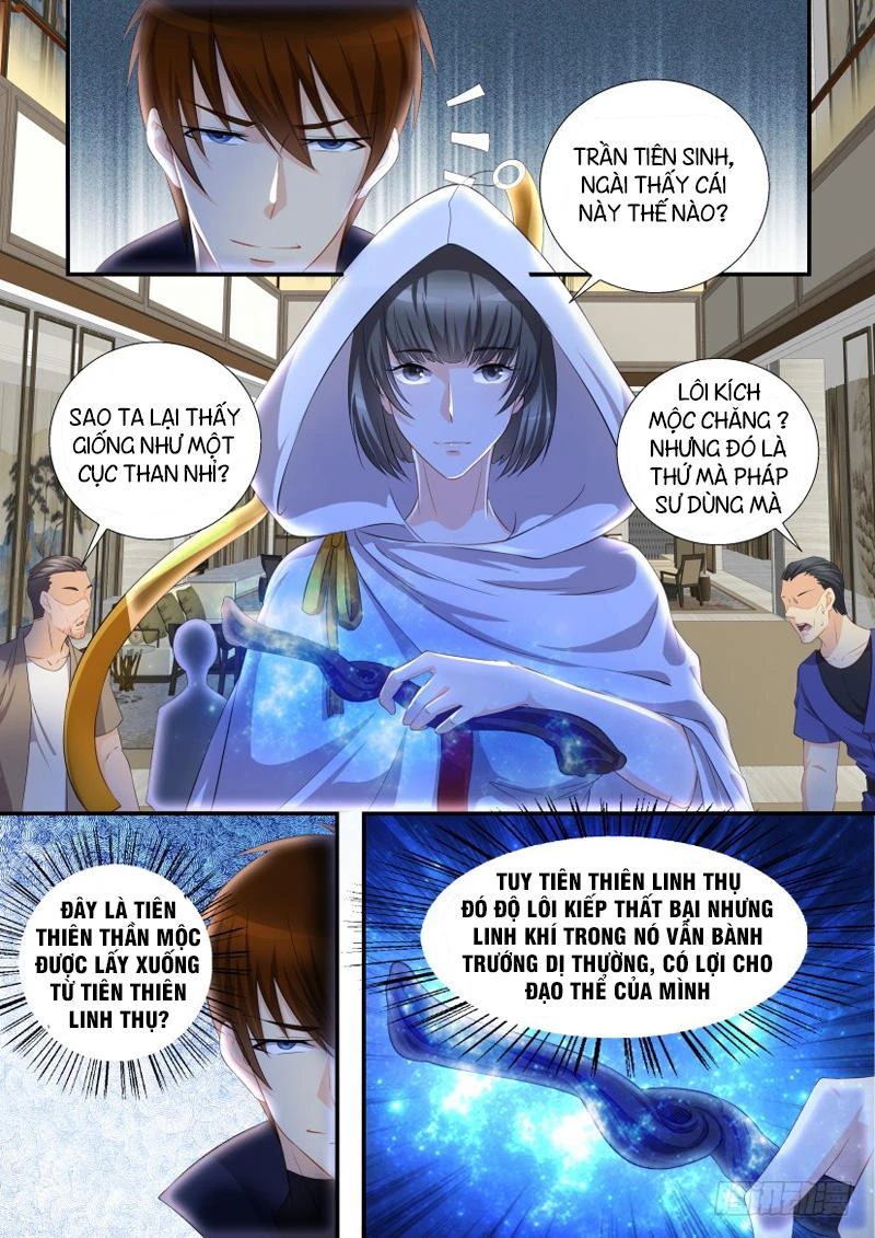 Trọng Sinh Đô Thị Tu Tiên Chapter 116 - Trang 4