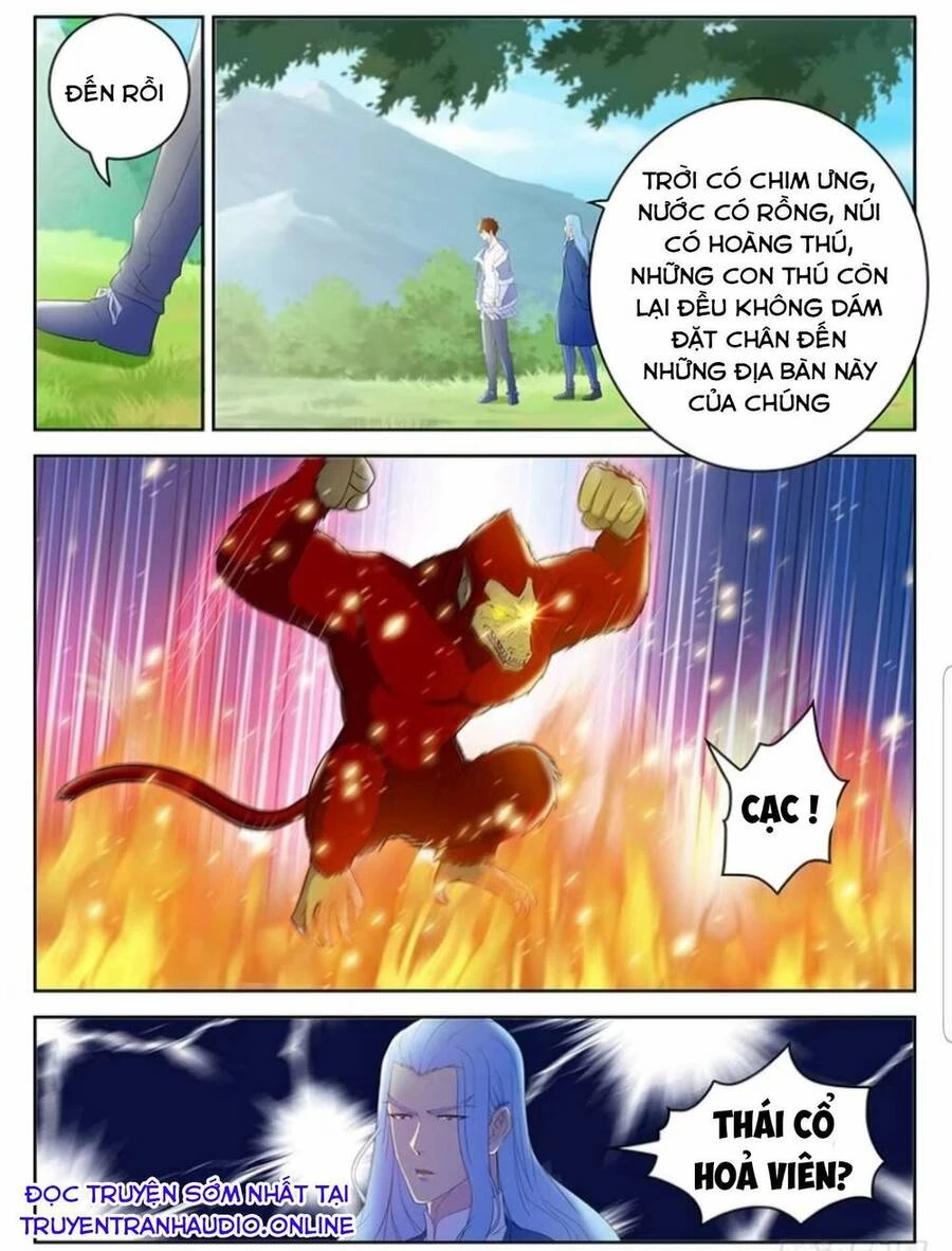 Trọng Sinh Đô Thị Tu Tiên Chapter 345 - Next Chapter 346