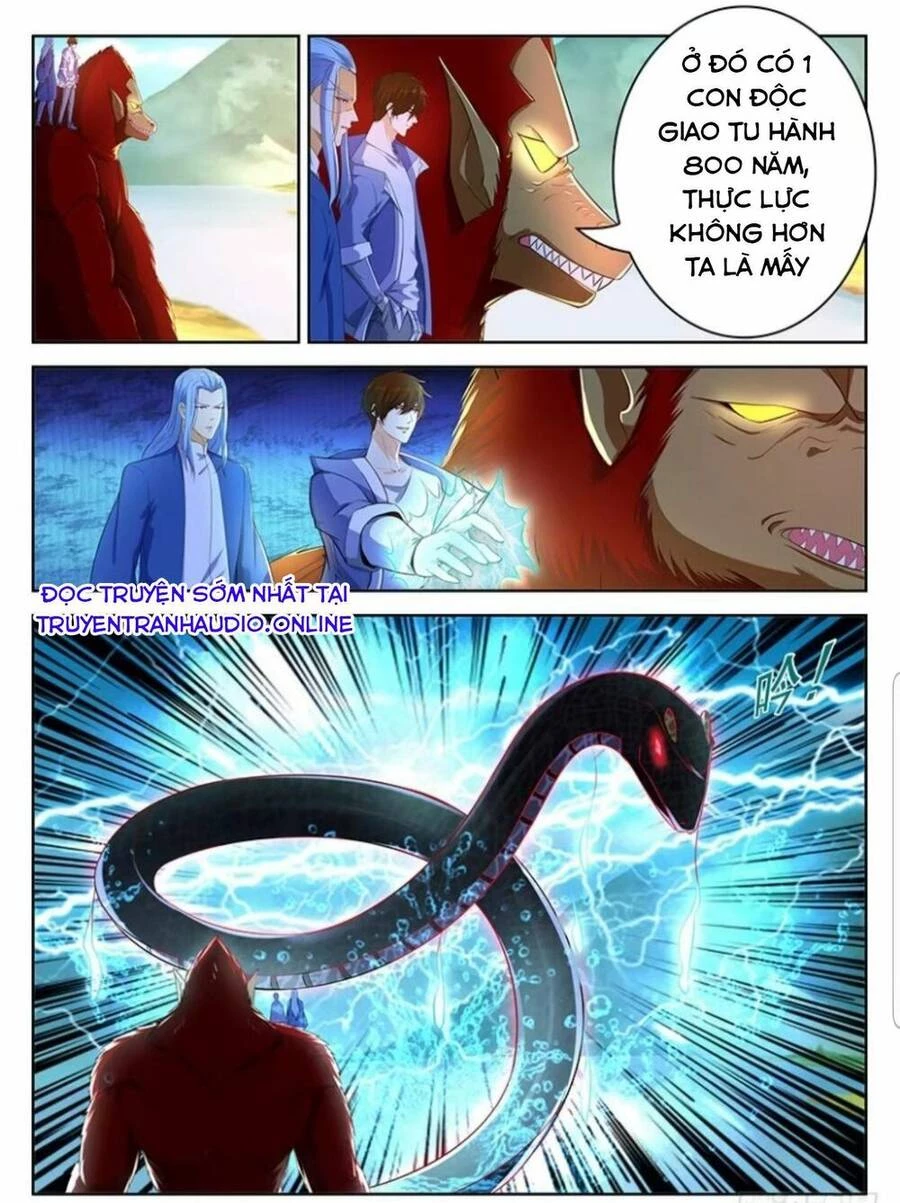 Trọng Sinh Đô Thị Tu Tiên Chapter 345 - Next Chapter 346