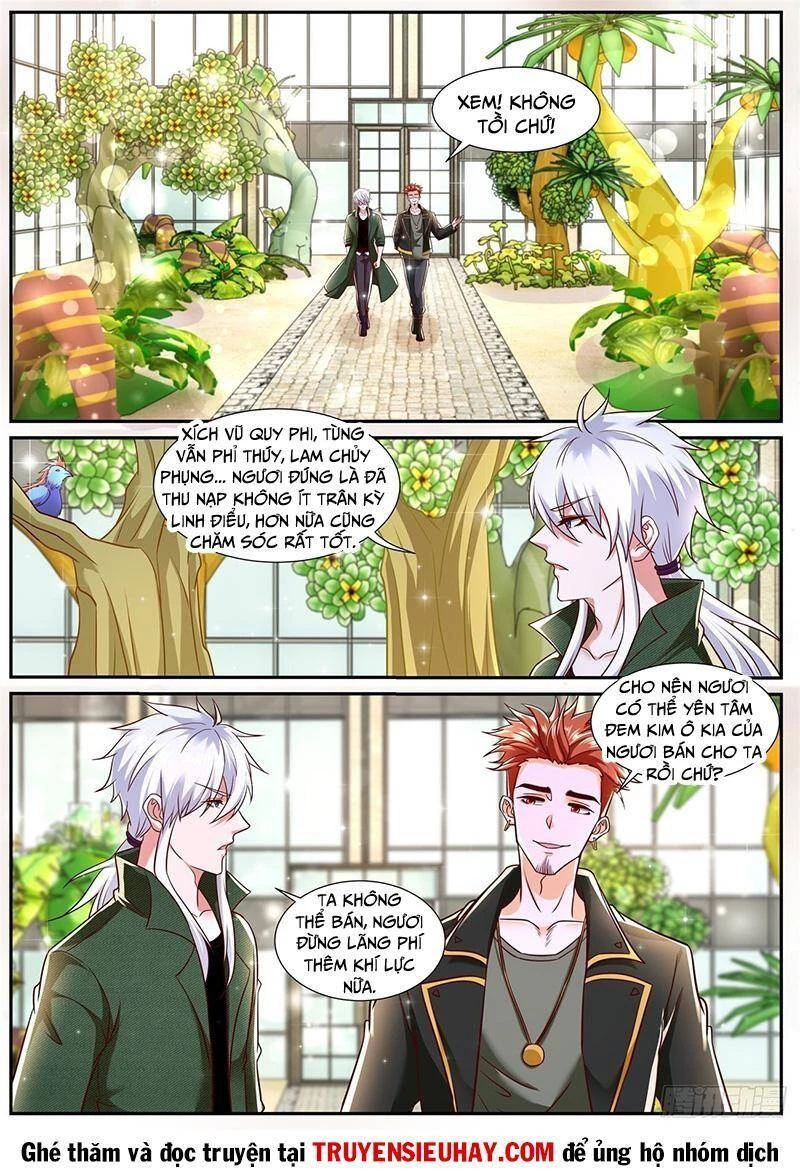 Trọng Sinh Đô Thị Tu Tiên Chapter 782 - Trang 4