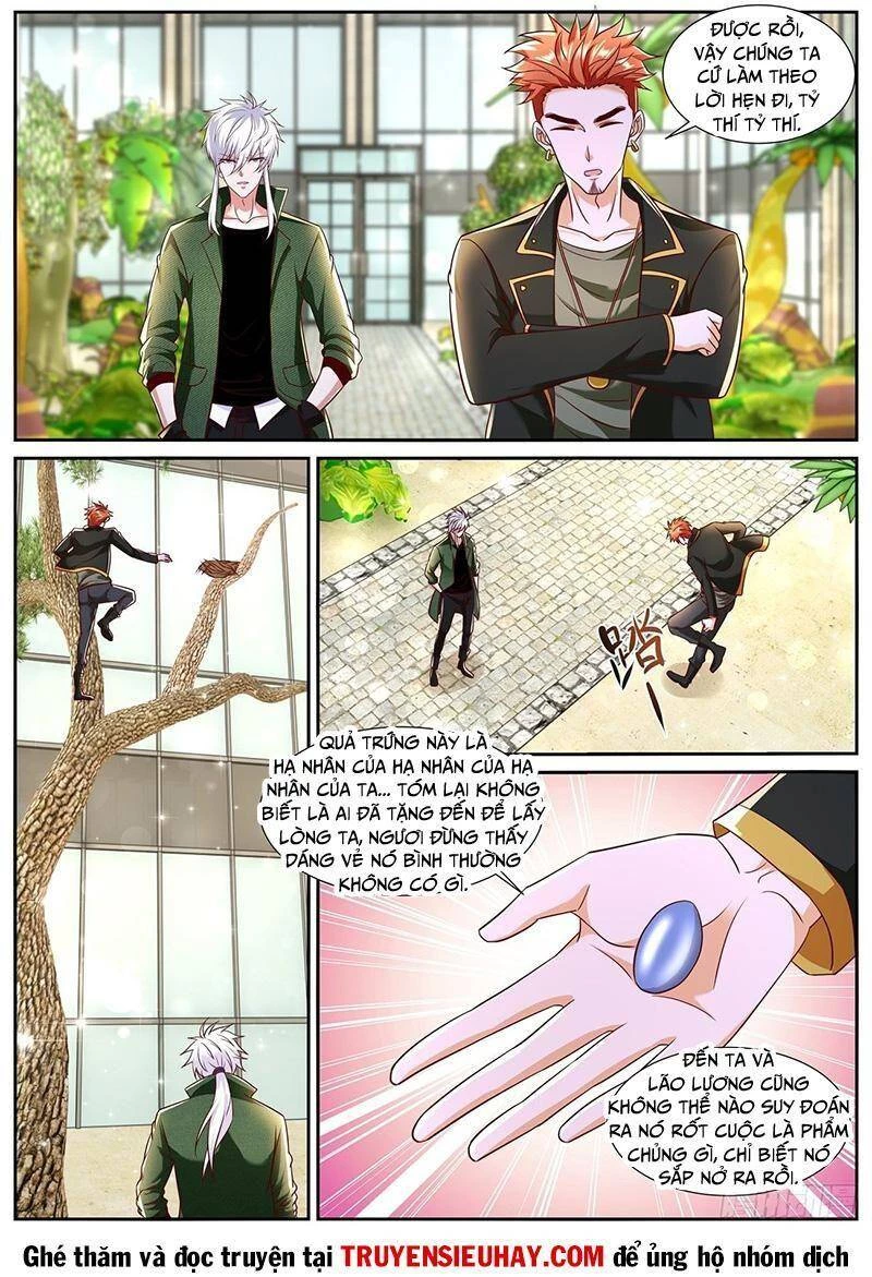 Trọng Sinh Đô Thị Tu Tiên Chapter 782 - Trang 4