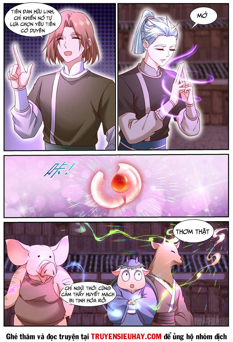 Trọng Sinh Đô Thị Tu Tiên Chapter 898 - Trang 4