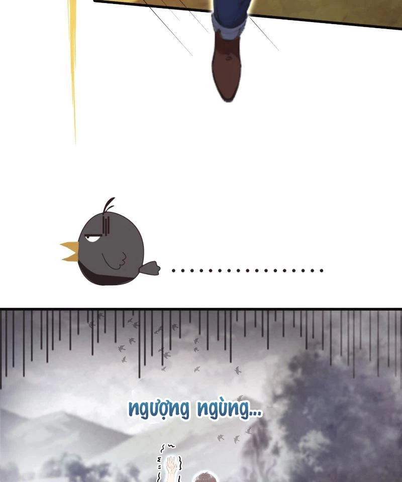 Hoá Ra Ta Đã Vô Địch Từ Lâu Chapter 1 - Trang 4