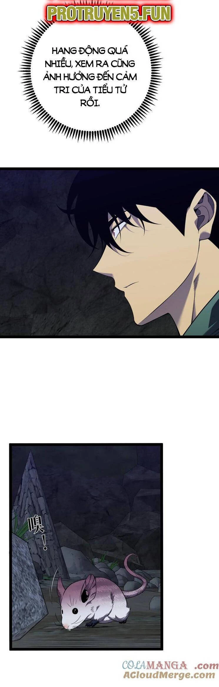 Thiên Phú Của Ngươi, Giờ Là Của Ta Chapter 79 - Next Chapter 80