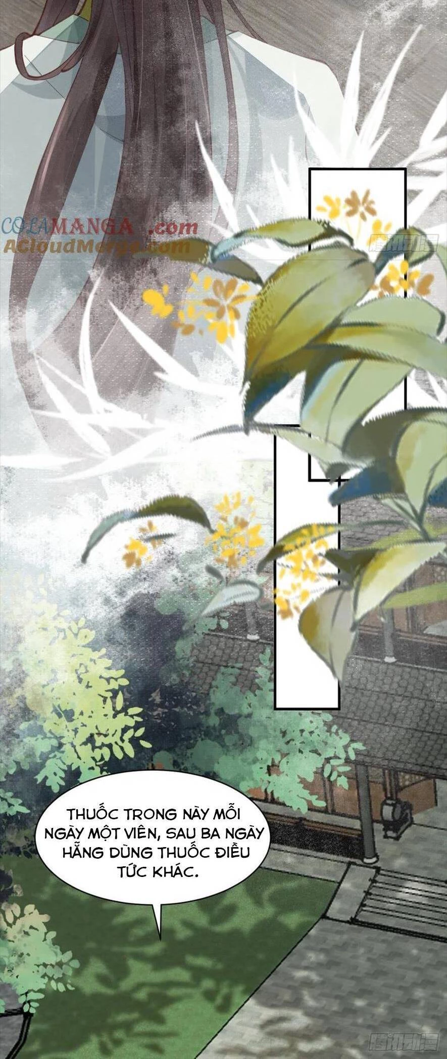 Tuyệt Sắc Quyến Rũ: Quỷ Y Chí Tôn Chapter 537 - Next Chapter 538