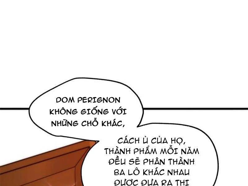Trọng Sinh Không Làm Chạn Vương, Tôi Một Mình Nạp Game Thăng Cấp Chapter 114 - Next Chapter 115
