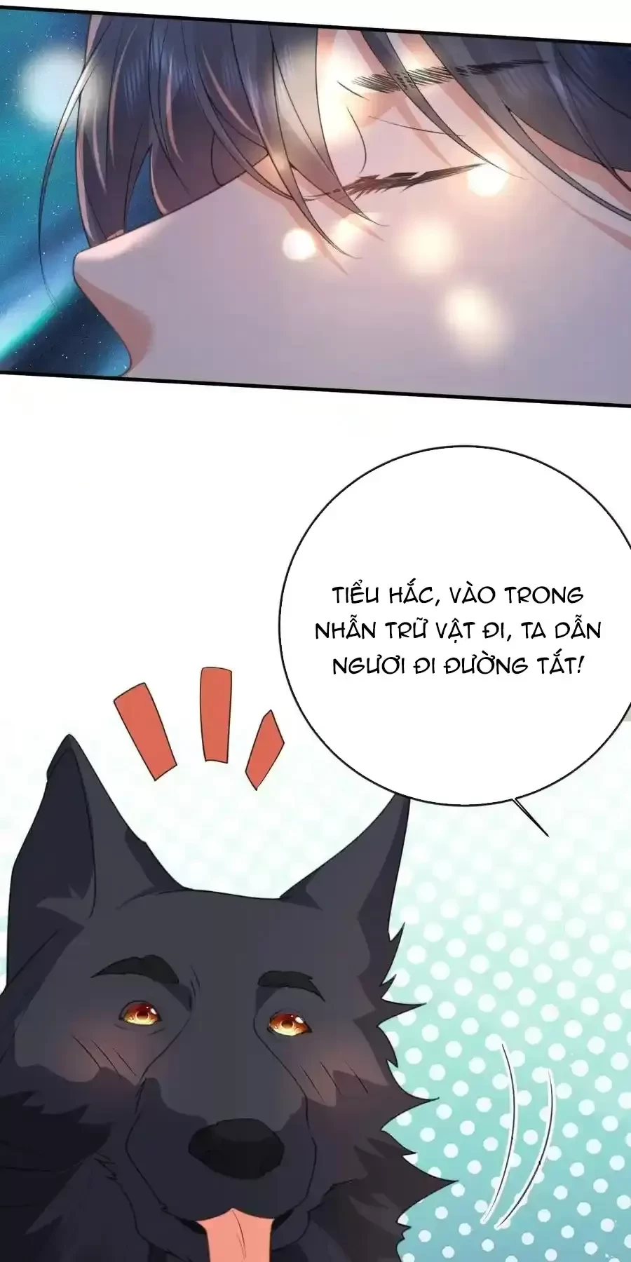 ta vô địch lúc nào Chapter 223 - Next Chapter 224